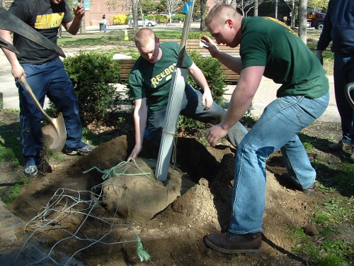 Perry Square Planting, Gannon University Students