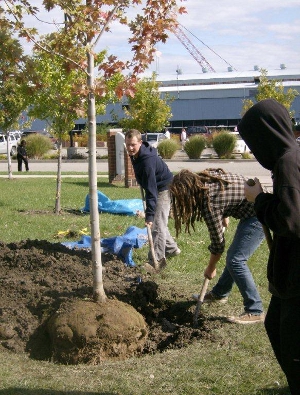 Tree Planting Workshop