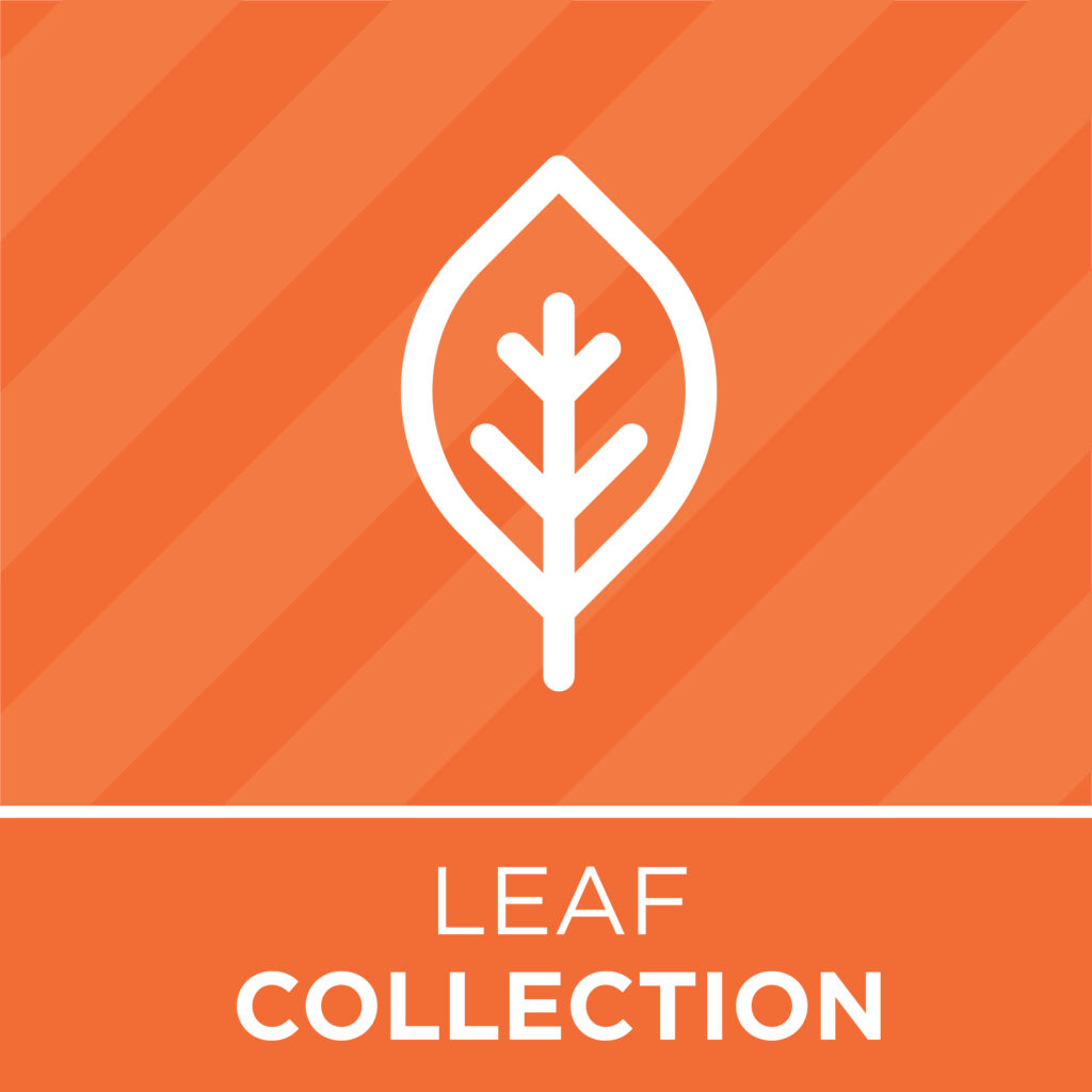 leaf collection